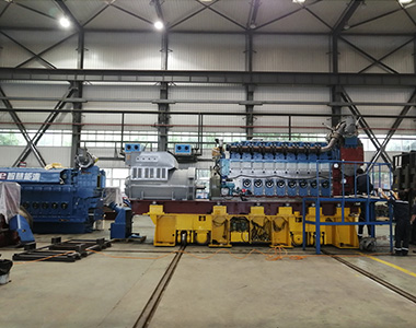 贵州省盘州红达瓦斯电站项目配4台平博手机版6极高压1550KW/10.5KV