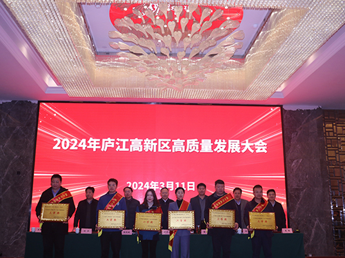 【喜报】平博手机版电气荣获2023年庐江高新区企业高质量发展一等奖！