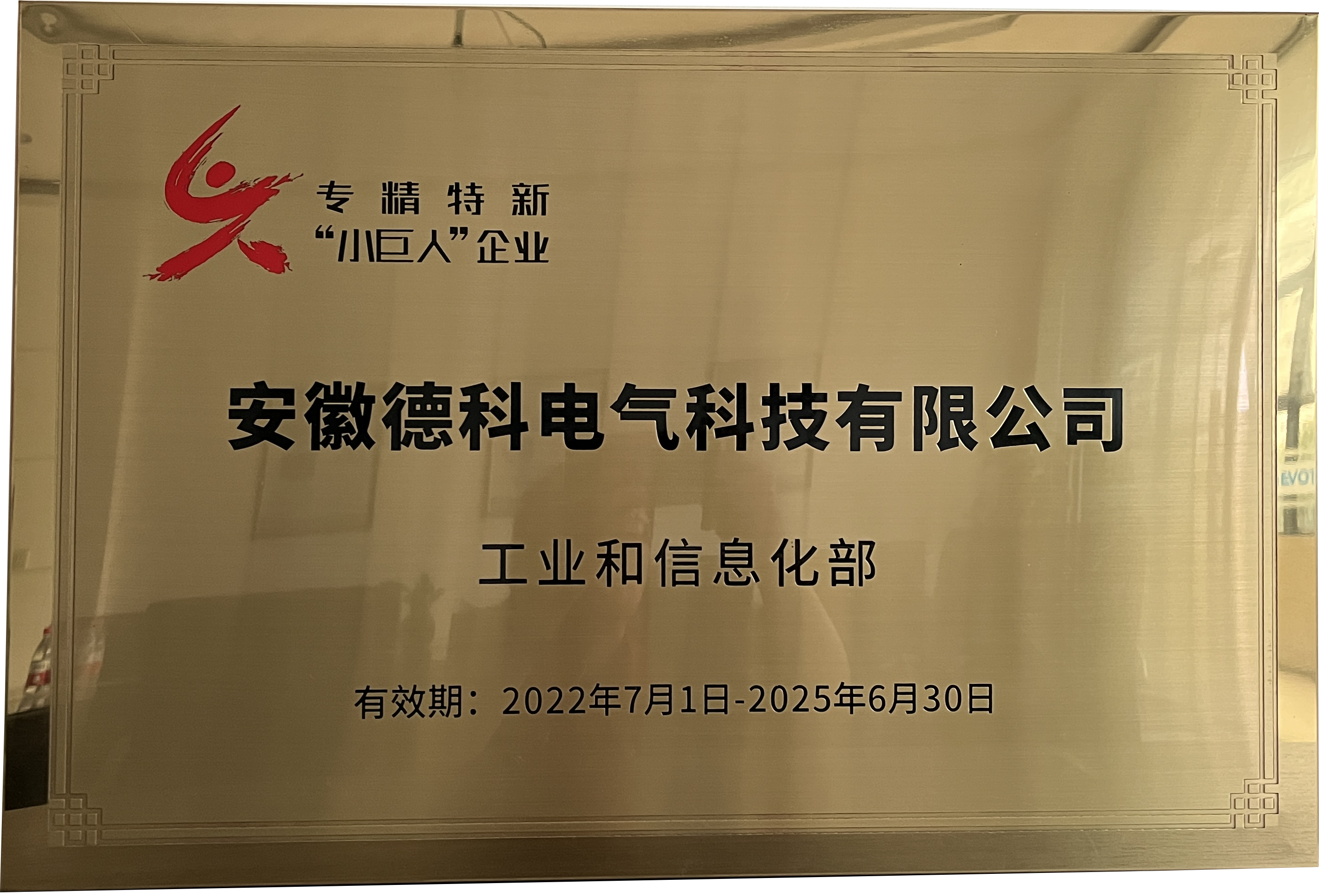 专精特新“小巨人”企业20250630
